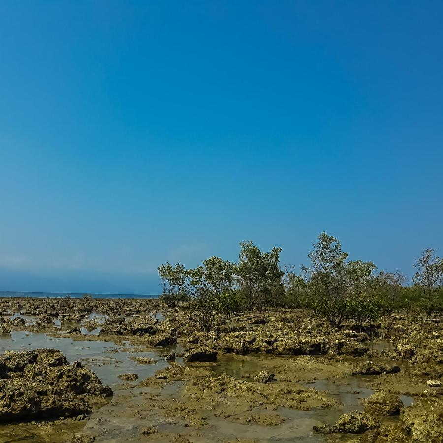 Seasta Beach Resort Baler Buitenkant foto
